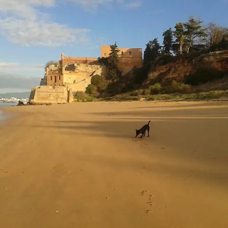 Patios Do Algarve 招待所