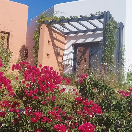 Patios Do Algarve 4* 费拉古多